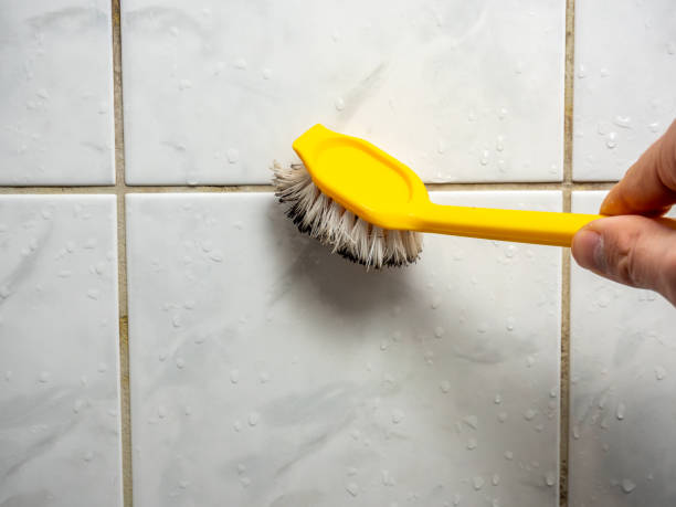 Best Mold Damage Repair  in Beaver Dam Lake, NY
